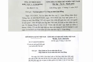 Vụ tòa không cho luật sư gặp bị cáo đang bị tạm giam: Luật quy định ra sao?