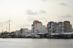 Một gốc huyện Trần Văn Thời.