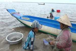 Những ngư dân bị khởi tố là dân hái lượm. 