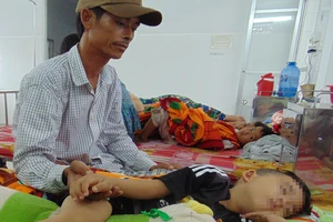 Nghi rắn độc bò vào mùng cắn người ở Bạc Liêu