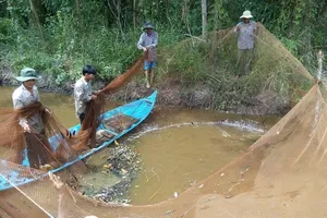 Cà Mau đề nghị ông Hải phản hồi phát ngôn 'rừng U Minh'