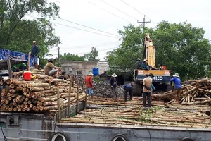 Cà Mau trả lời nhiều vấn đề nóng