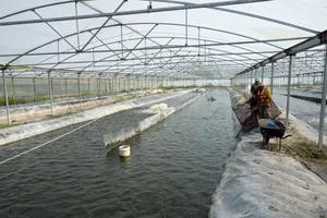 Bạc Liêu đổi hướng đột phá, kêu gọi đầu tư