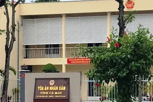 Nguyên chánh Tòa Dân sự Cà Mau bị 24 tháng tù treo