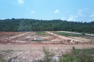 Phú Quốc tạm ngưng chuyển mục đích sử dụng đất manh mún