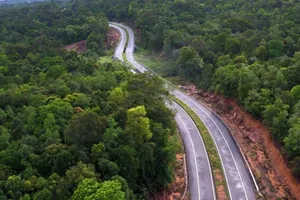 Vụ phá rừng ở Phú Quốc: Tòa tạm dừng để đi xem hiện trường