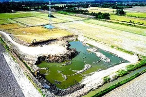 Con số 'tố' cán bộ địa chính báo cáo không đúng sự thật