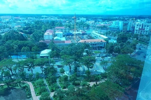 Cà Mau báo cáo việc bổ nhiệm cán bộ cấp phòng 6 năm qua 