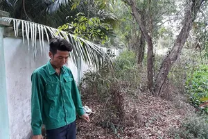 7 năm phát hiện 300 xác hài nhi trong rác ở Cà Mau