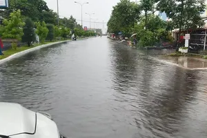 Cử tri Cà Mau đặt vấn đề về chỉ số PCI thấp trong khu vực