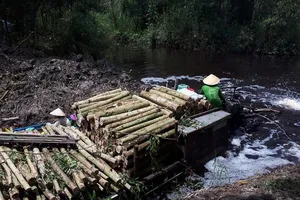 Trại giam Cái Tàu Cà Mau giao khoán chưa đúng 112ha đất