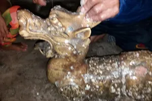 8 tượng quái thú được bí mật thả xuống biển Cà Mau