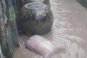 Dân Sông Đốc, Cà Mau hoảng vì nước dâng không có cảnh báo