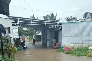  Nước dâng bất thường, lốc xoáy gây thiệt hại nặng cho Cà Mau 