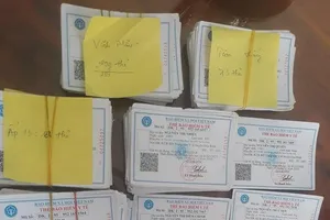 Lập tổ xác minh thông tin nộp quỹ an sinh mới đưa thẻ BHYT