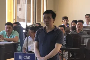 Giám đốc bất động sản bán nền trái luật lãnh 12 năm tù