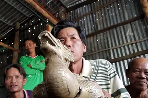 Lại nhặt được tượng thú lạ ở Cà Mau