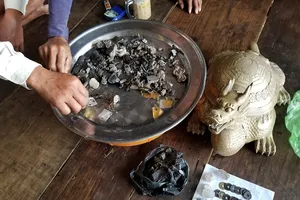 Cà Mau: Nghiên cứu tượng 'long quy' nhặt được dưới biển