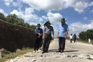 Cà Mau họp khẩn về vấn đề hạn mặn và sụt lún