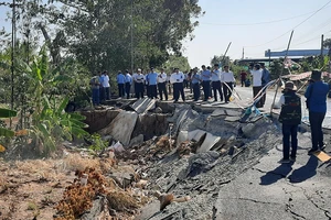 Cà Mau đề xuất chặt bớt cây xanh để giảm sụt lún đường