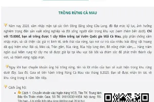 Cà Mau: Làm rõ việc vận động trồng rừng trên 1 trang web