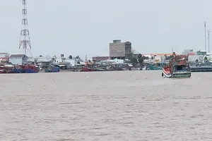 Ngư dân Gành Hào kêu bị điện gió Cà Mau cản đường