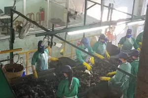 Chủ nhà máy rác Cà Mau đòi đóng cửa vì bị nợ hơn 33 tỉ đồng