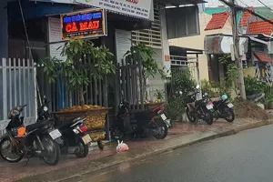 Cà Mau đang làm rõ vụ bán đấu giá 1 lô xe máy thanh lý