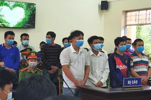 Tòa xử vụ siêu trộm tôm mà Pháp Luật TP.HCM từng phanh phui