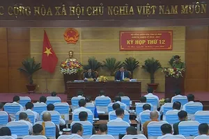 Cà Mau: Nghiêm cấm cán bộ can thiệp, bỏ lỗi vi phạm giao thông