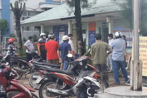 Chủ tịch phường nói về vụ phạt người đi cứu cá ở Cà Mau