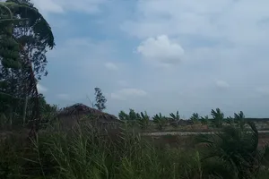 Lén nhậu ở chòi tôm, 7 người ở Cà Mau bị phạt 105 triệu đồng 