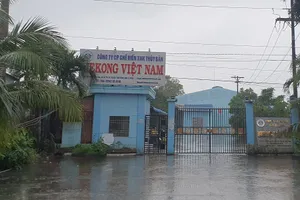 Công ty không có nổi 2,5 triệu đồng đã nộp 5 triệu để thi hành án