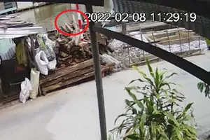 Cà Mau: Công an làm rõ đốm lửa 'lạ' trong đống củi