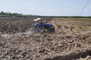 1 cán bộ ở U Minh Hạ chiếm dụng gần 300 triệu tiền hỗ trợ nông dân