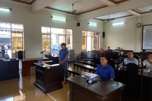 Vụ thợ hàn làm cháy ở Bạc Liêu: Người cho mượn pháp nhân phải bồi thường 21 tỷ đồng