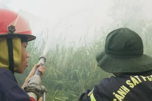 Đám cháy rừng tràm ở Cà Mau: Đã giảm nguy cơ cháy lan