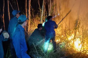 Vụ cháy rừng Cà Mau: Đã cô lập đám cháy