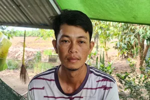 Nhiều nông dân Cà Mau bị thương lái nợ tiền mua lúa cả năm