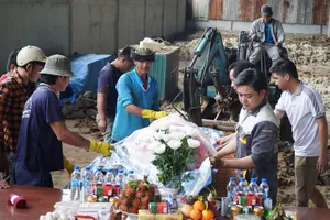 Hành động nhân văn của người dân Cà Mau trước con cá heo gặp nạn