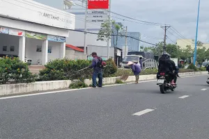 Công an yêu cầu cung cấp thông tin các dự án liên quan cây xanh ở Cà Mau