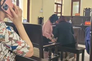 Vụ án bà Âu Ngọc Vững cưa cây ở Cà Mau: Tranh luận chuyện định giá cây dừa