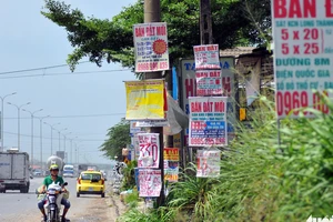  Quốc Cường Gia Lai bất ngờ lãi lớn