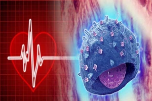 Ghép tim làm thay đổi thói quen, tính cách?