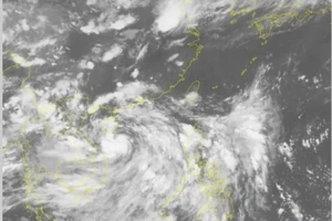 Công điện khẩn ứng phó với bão số 2