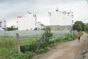 Bà Rịa – Vũng Tàu chấm dứt 95 dự án chậm triển khai