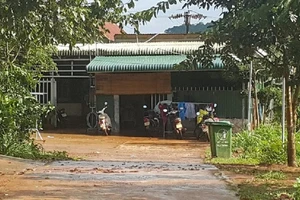 Bé gái 8 tuổi bị cô dạy thêm đánh bầm tím 