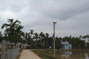 Xử lý vụ tiền điện bất ngờ tăng gấp 2-3 lần