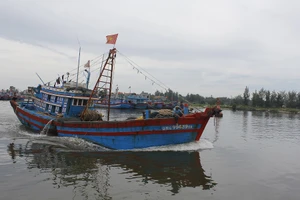 Quảng Ngãi cấm tàu thuyền ra khơi trước bão số 10 