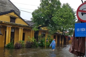 Mưa lũ không ảnh hưởng hoạt động APEC tại Hội An